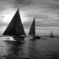Three Skipjacks