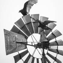 Windmill #2