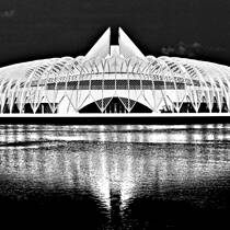 1 Library at Florida Polytechnic Univesity