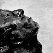 Clews Bust