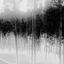 Arapaho National Park