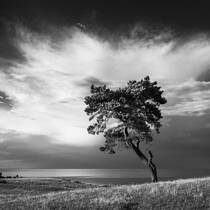 After the Storm