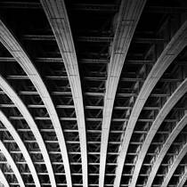 The Under Side