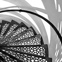 Shadow Lines