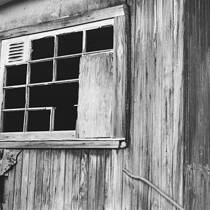 The Old Shed Behind My Aunt's House