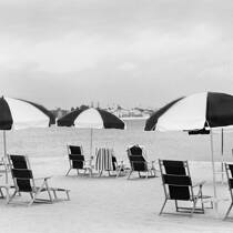Beach Umbrellas