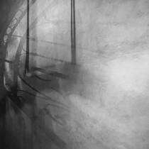 In the Shadows