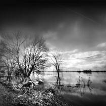After the Floods