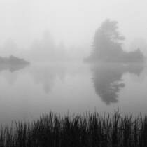 Untitled Pinhole 4