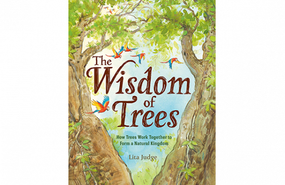 Cover of Wisdom of Trees
