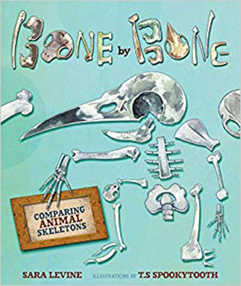 Bone by Bone: Comparing Animal Skeletons