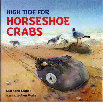 High Tide for Horseshoe Crabs