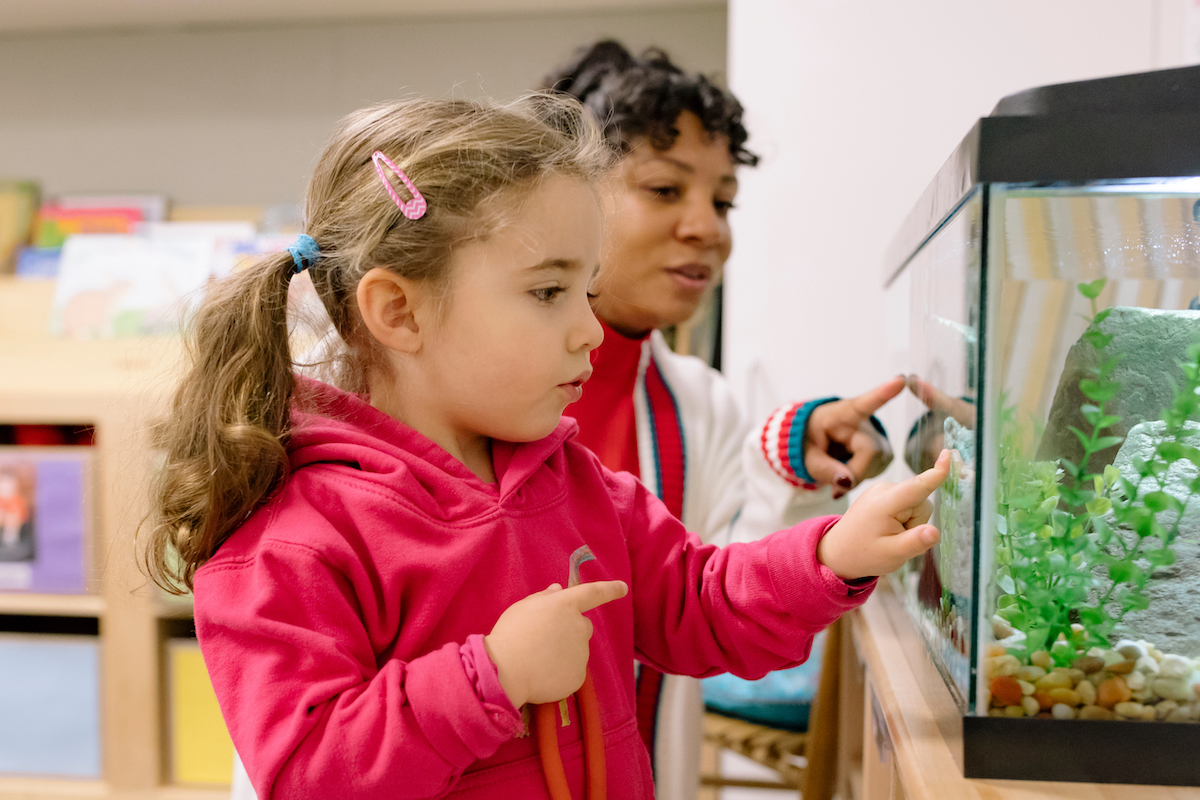 Young child and educator looking at a fish tank together