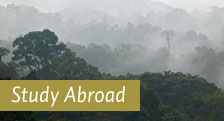 Study Abroad