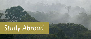 Study Abroad