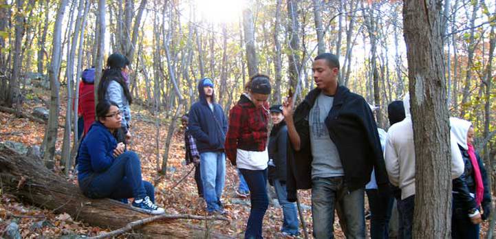 BSC-LL-gallery-woods-LAE-#1-2010-2011-017.jpg