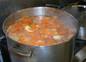 Carrot soup