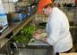 Chef David cleaning tomatillos