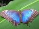 image for Summer in Costa Rica