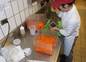 Chef splitting carrots