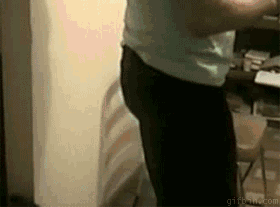 dogchair funny dog gif