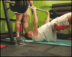 weights funny dog gif