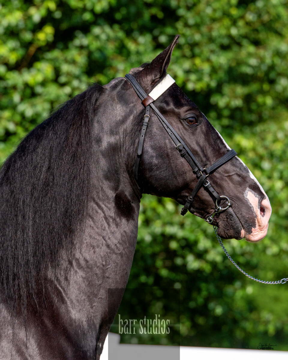 Rising Star Ranch Sky Miles Clients