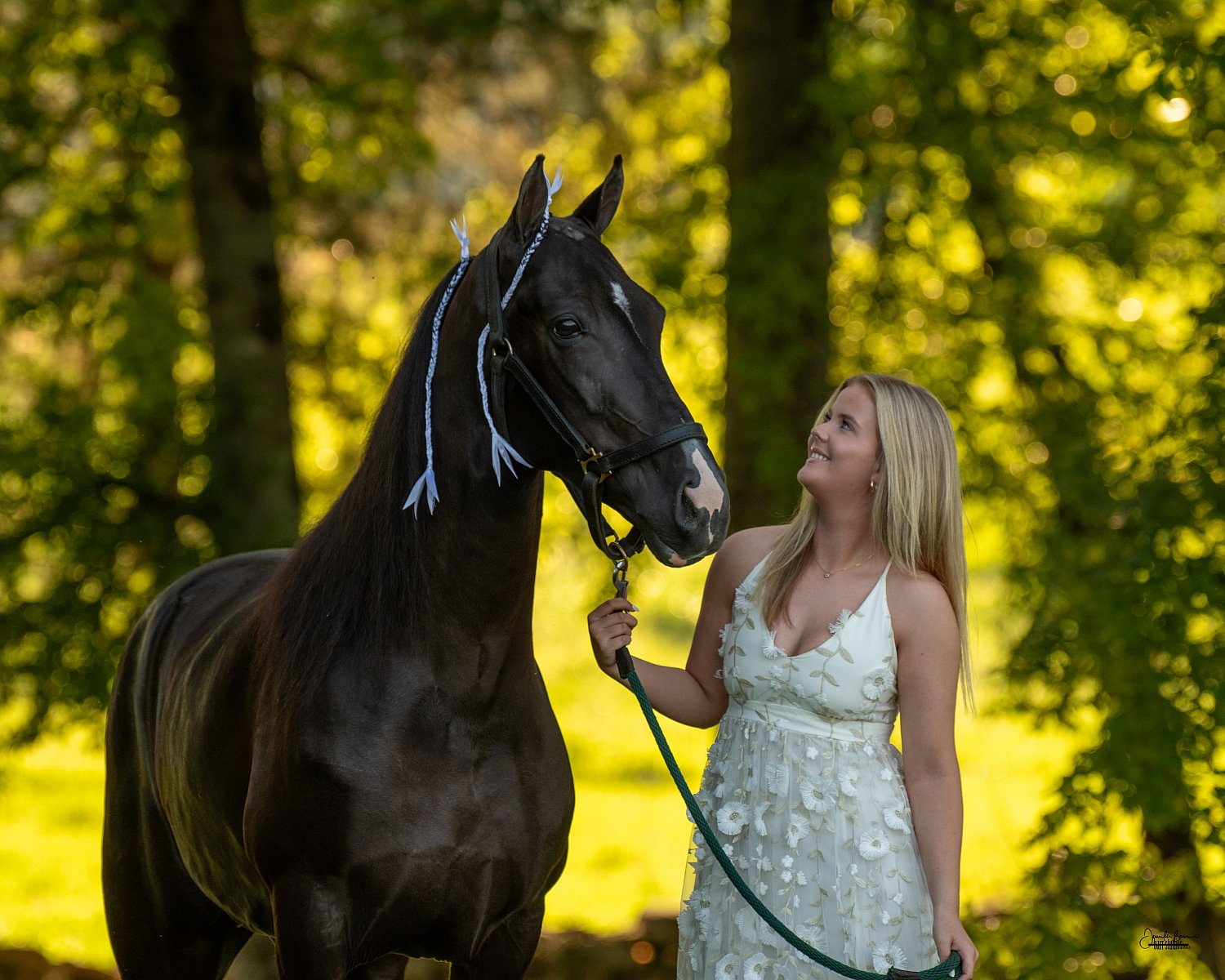 Kenley Johnson Clients