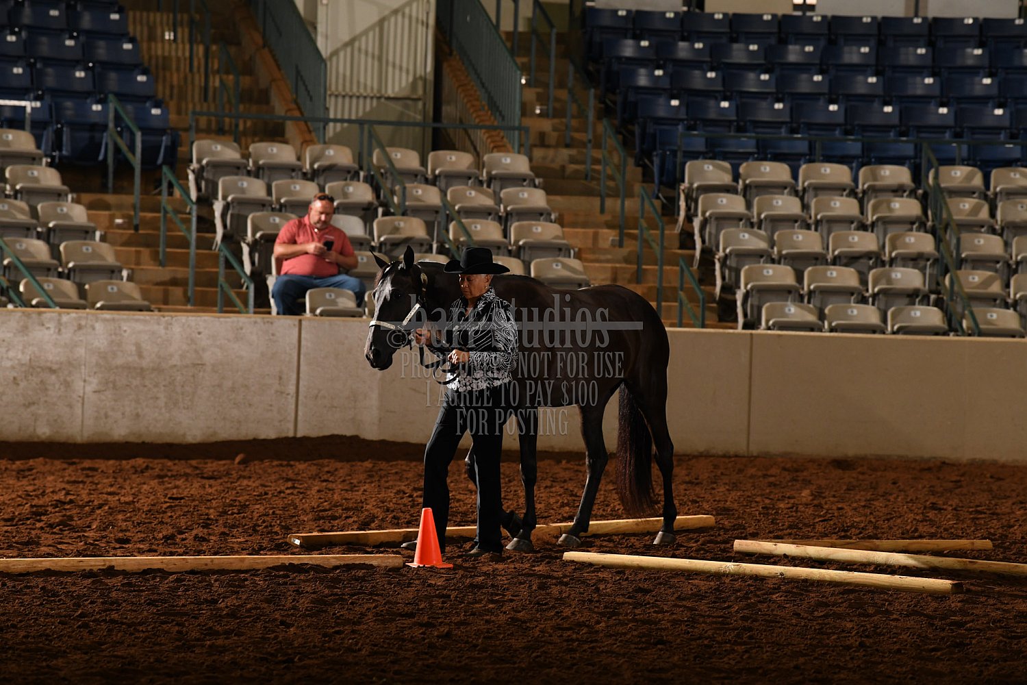 July 2029, 2023 The 45th Annual International Grand Championship Murfreesboro, TN Horse