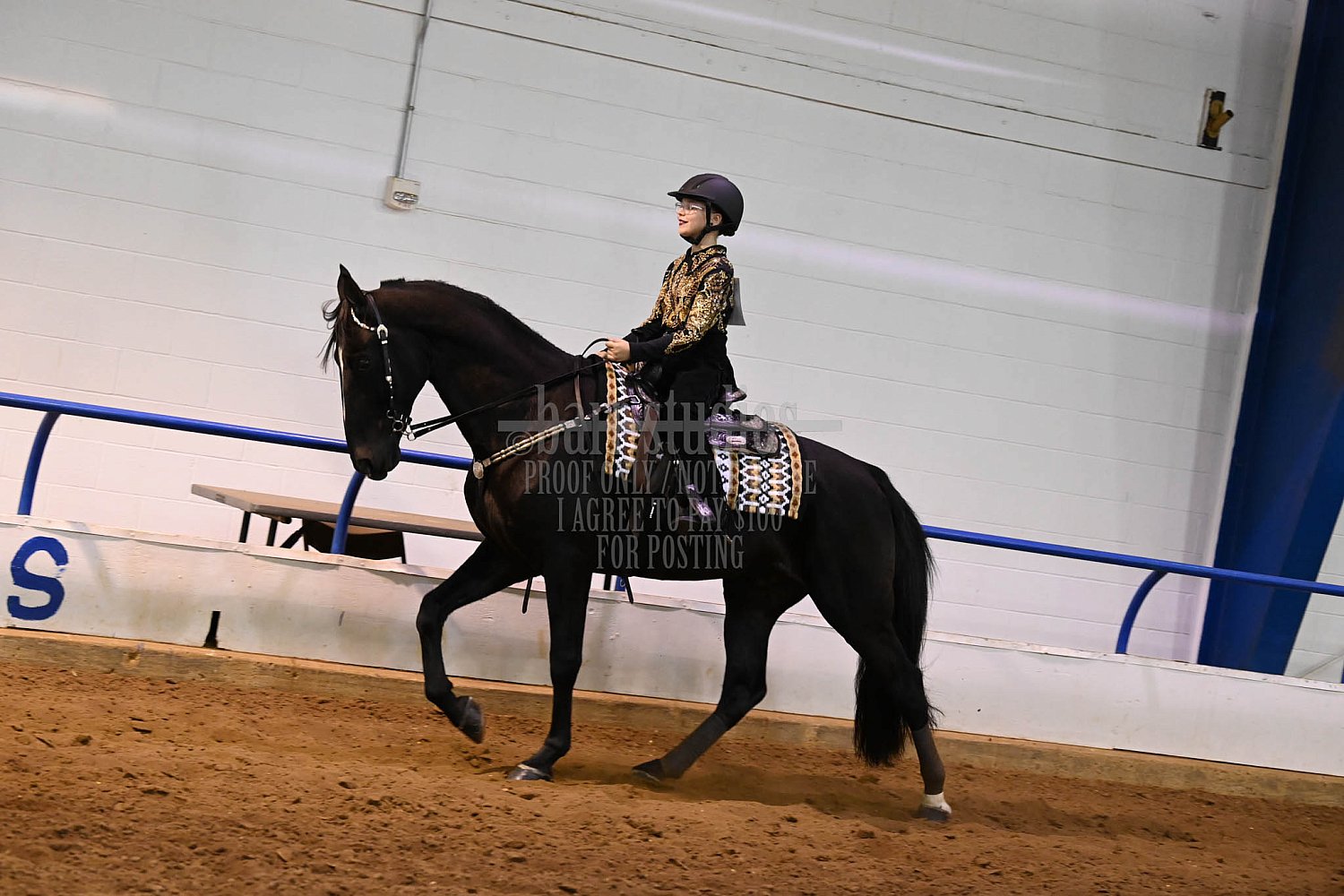 October 28, 2023 PWHAT Jamboree Murfreesboro, TN Horse Show Proofs
