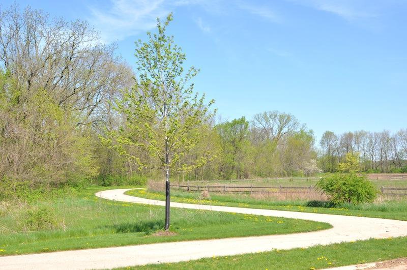 Grove Estates in Oswego DJK Custom Homes