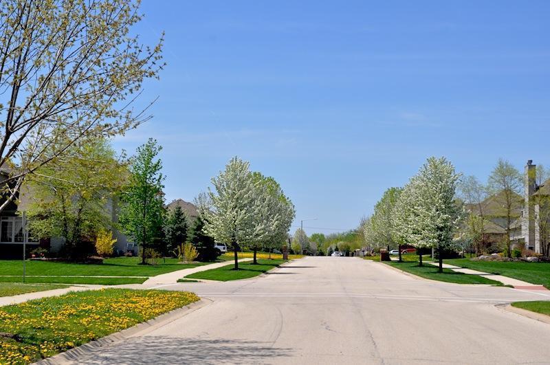 Reserves of Dunmoor Estates in Plainfield DJK Custom Homes