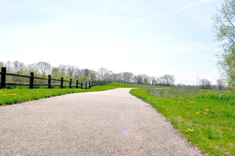 Grove Estates in Oswego DJK Custom Homes