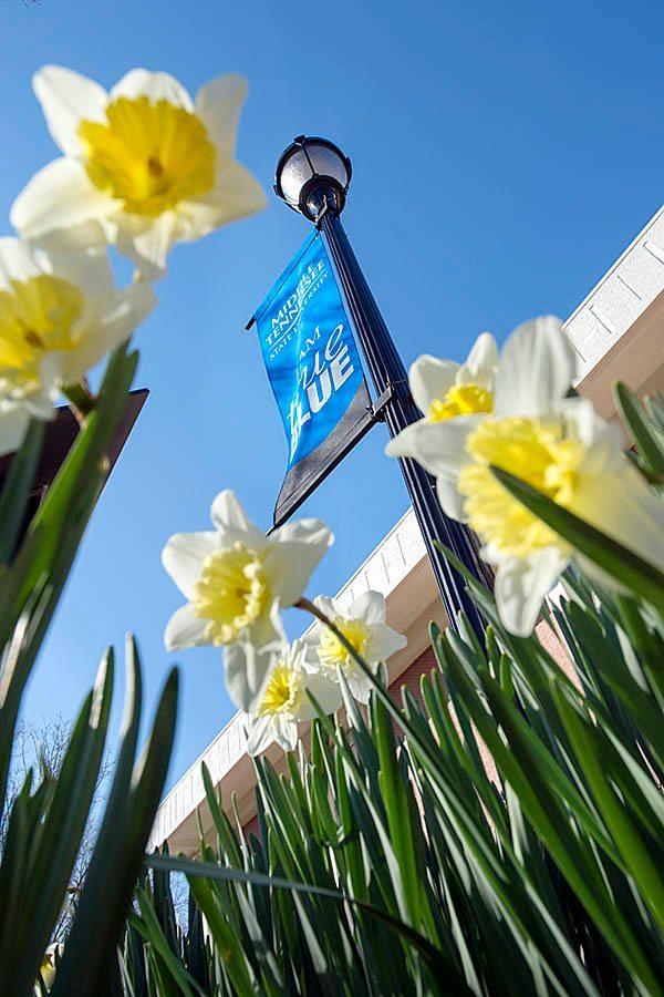 Brady Estates in Murfreesboro Nason Homes