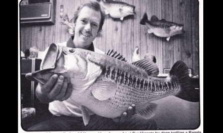 The Birth of The Swimbait