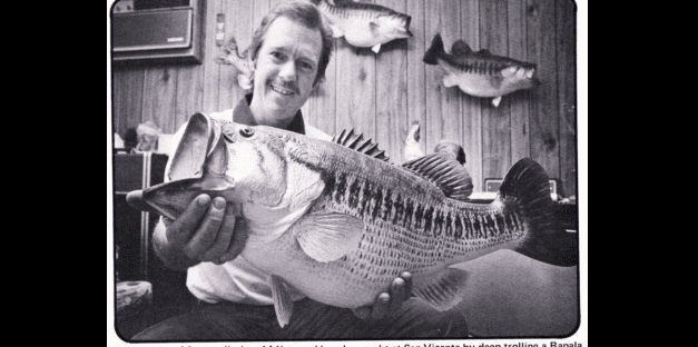 The Birth of The Swimbait