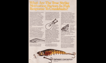 Crankbait Corp Fingerling Series