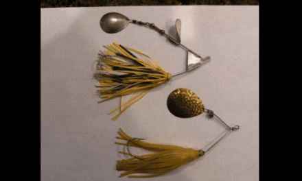DAM Quick Champion Series - Bass Fishing Archives