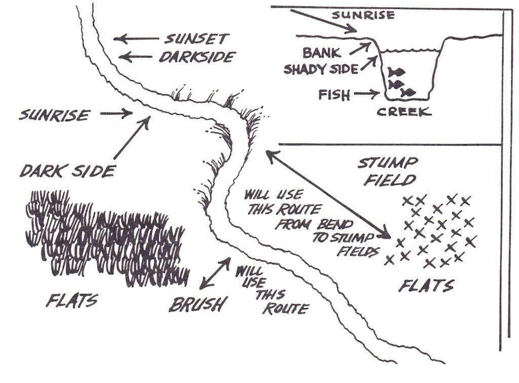 (6) BD 7 Photo From Bill Dance’s “There He Is,” Published by the Bass Anglers Sportsman Society, 1973.