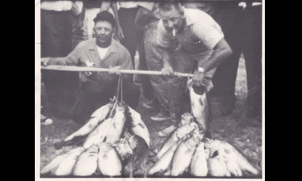 Twig Pigs and Bush Hogs – More Rip Nunnery