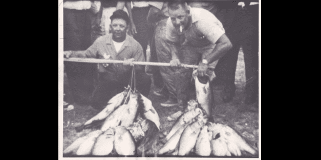 Twig Pigs and Bush Hogs – More Rip Nunnery