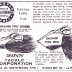 The Shannon Twin Spin