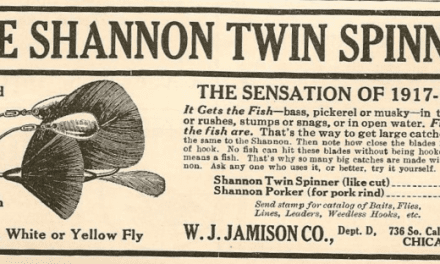 The Shannon – Another Look