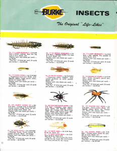 Burke Catalog 1968 page 11