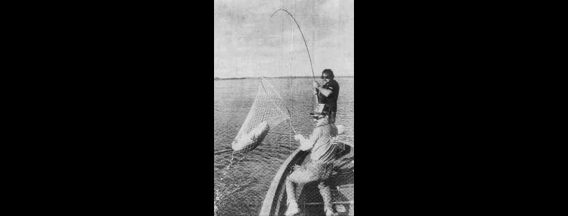 Florida’s Big Bass