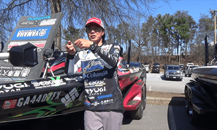 Takumi Ito Video Games to Elites