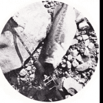Graphite Rods: From Aerospace to Bass Fishing
