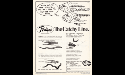 Where’s the Beans