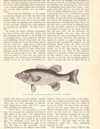 James Henshall 1883 Black Bass Article page 4