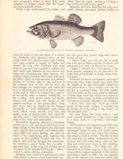 James Henshall 1883 Black Bass Article page 3